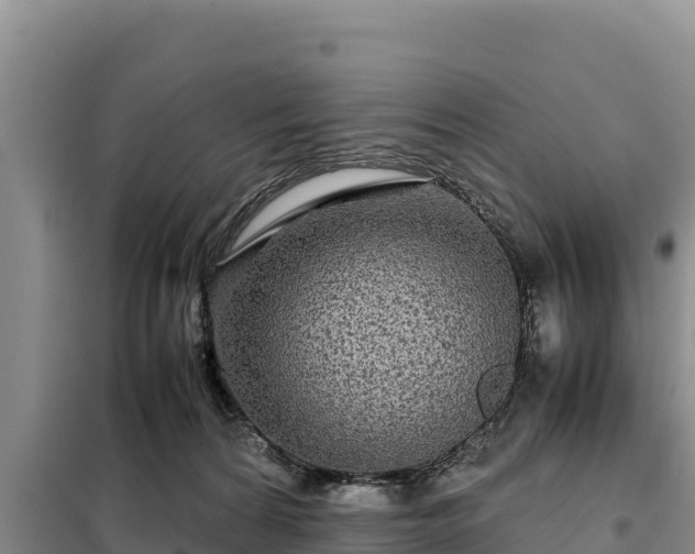 X0000099310224200805091025