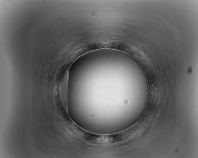 X0000099310225200805091025