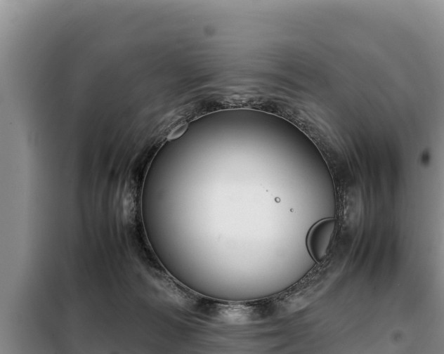 X0000099310226200805091025