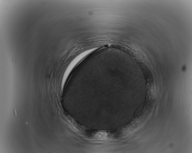 X0000099310227200805091025