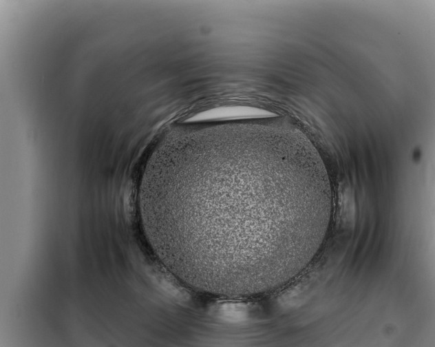 X0000099310228200805091025