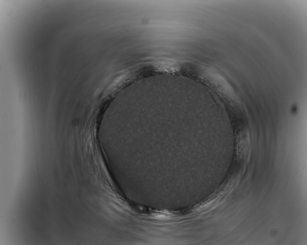 X0000099310229200805091025