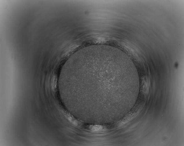 X0000099310230200805091025