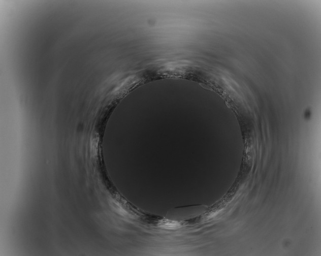 X0000099310231200805091025