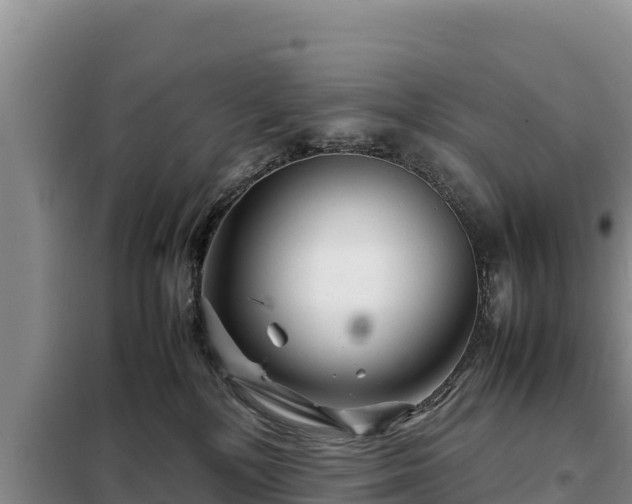 X0000099310232200805091025