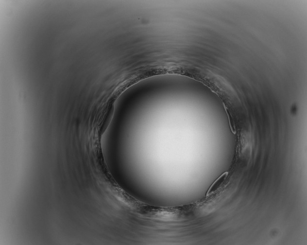 X0000099310236200805091025