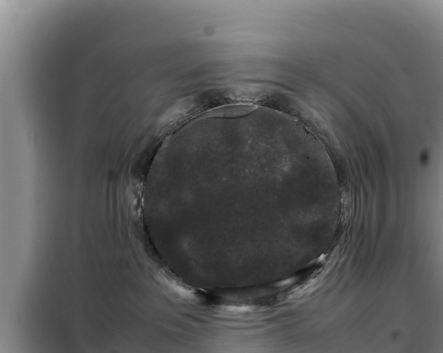 X0000099310237200805091025