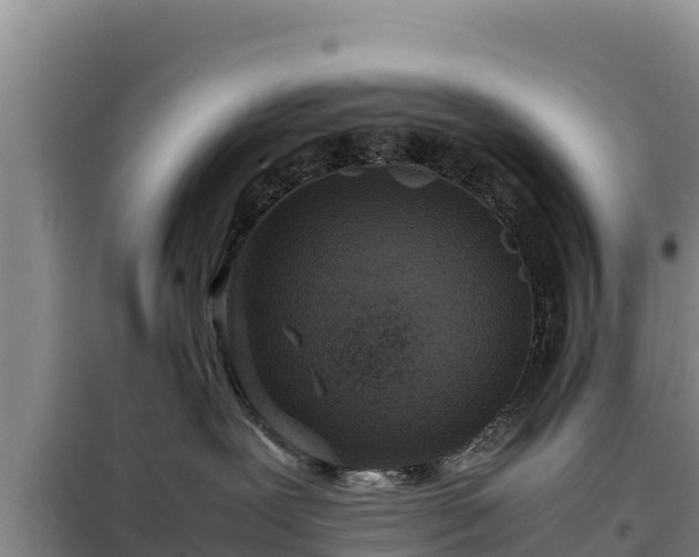 X0000099310239200805091025