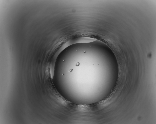 X0000099310240200805091025