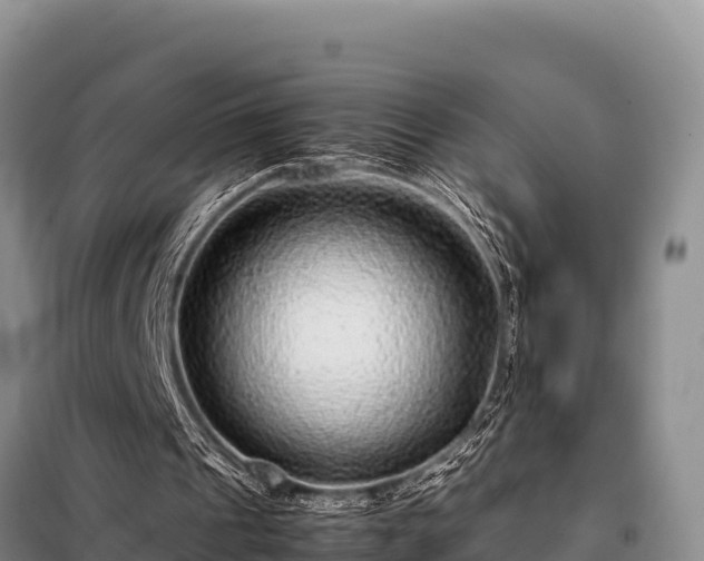 X0000099310241200805091025