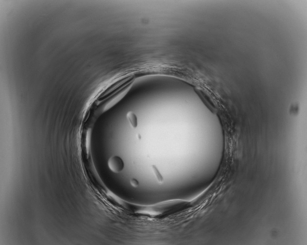 X0000099310244200805091025