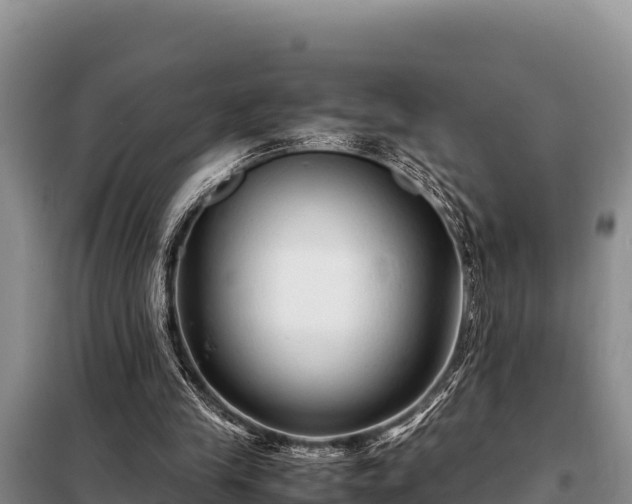 X0000099310245200805091025