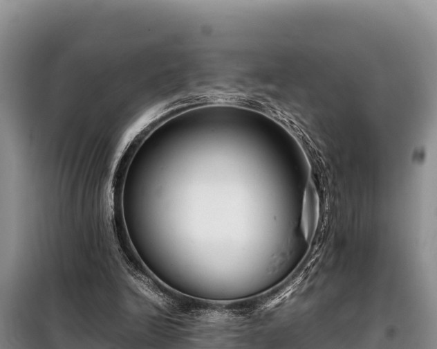 X0000099310246200805091025