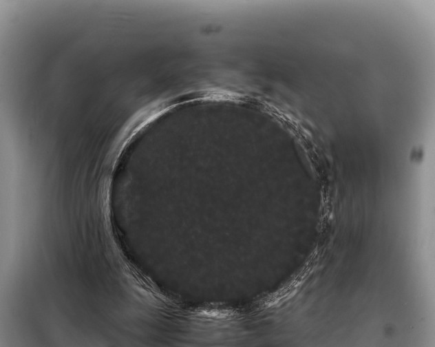 X0000099310247200805091025