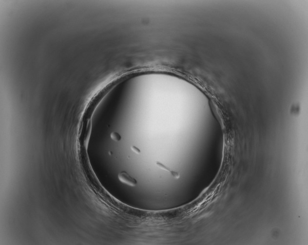 X0000099310248200805091025