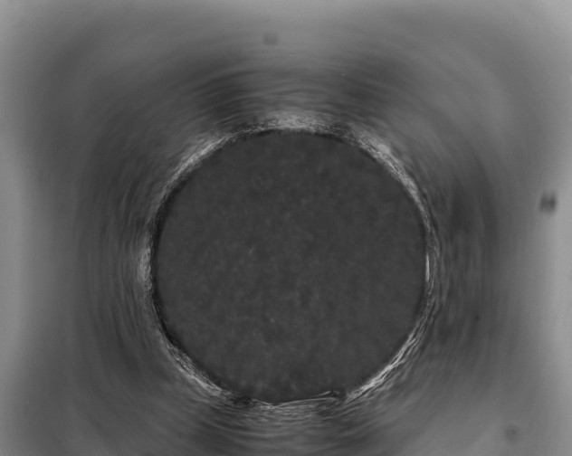 X0000099310249200805091025