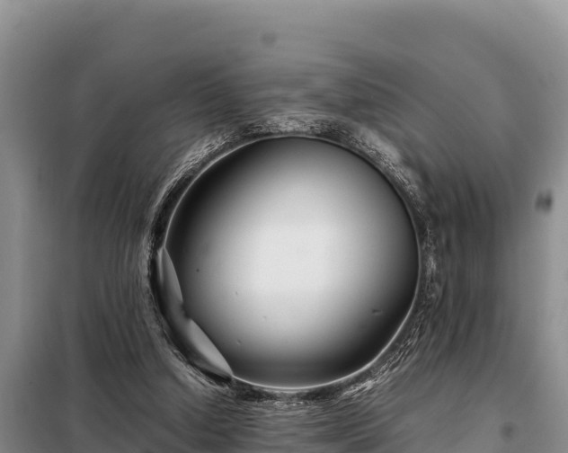 X0000099310250200805091025