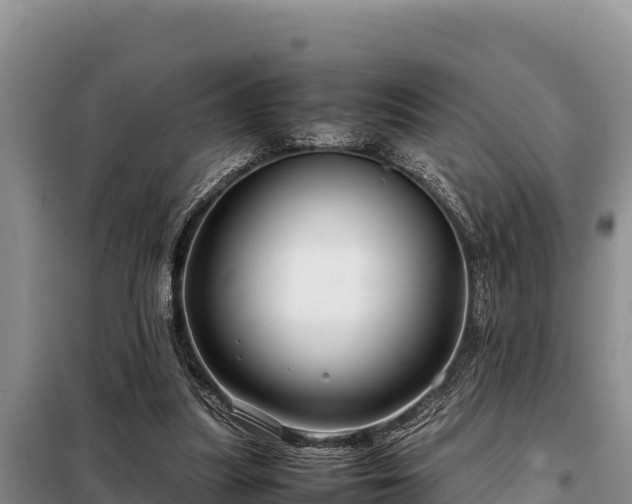 X0000099310251200805091025