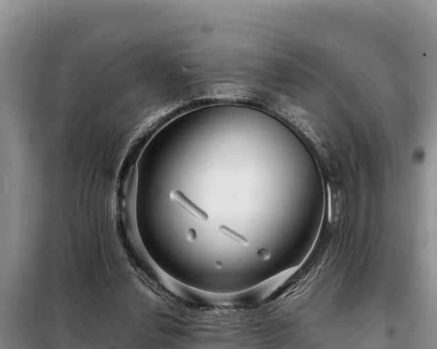 X0000099310252200805091025