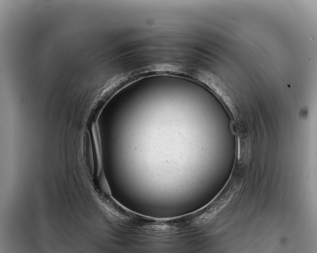 X0000099310253200805091025