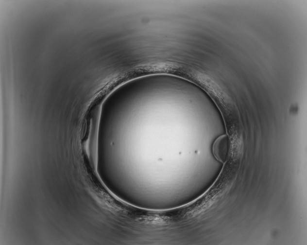 X0000099310254200805091025