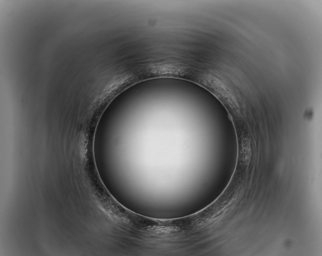 X0000099310255200805091025