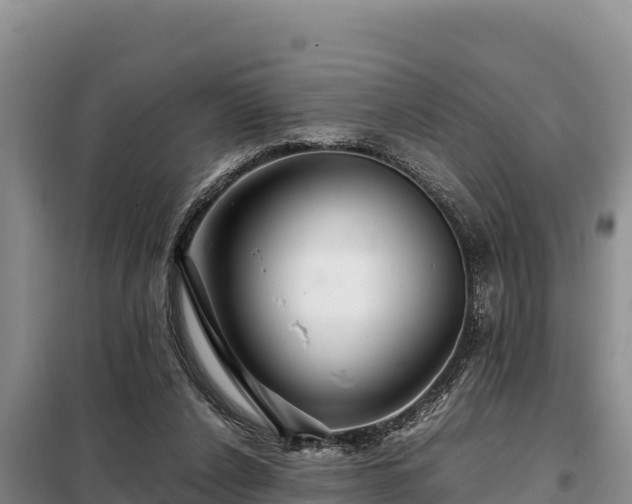 X0000099310256200805091025