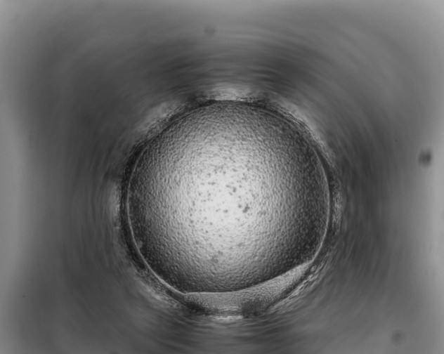 X0000099310257200805091025