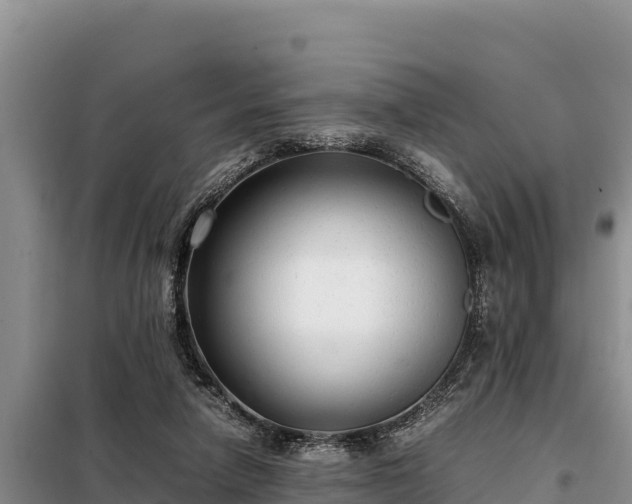 X0000099310258200805091025