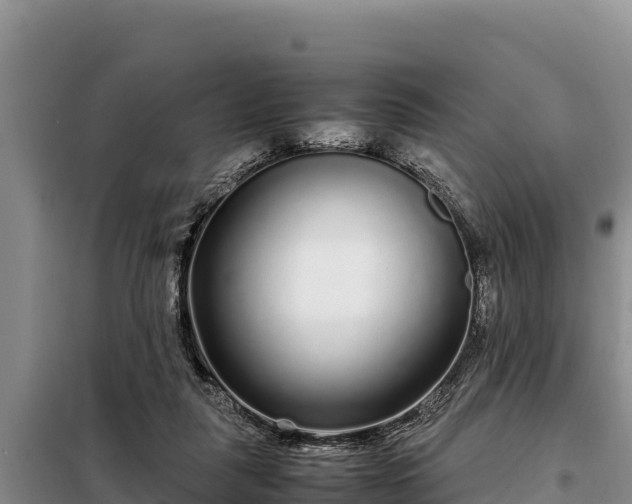 X0000099310259200805091025