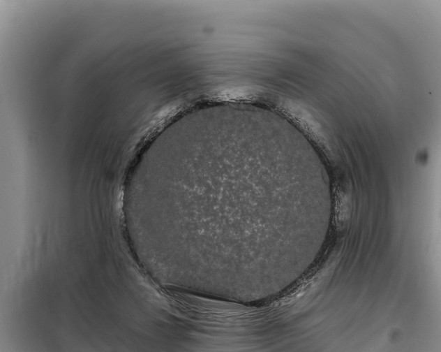 X0000099310260200805091025