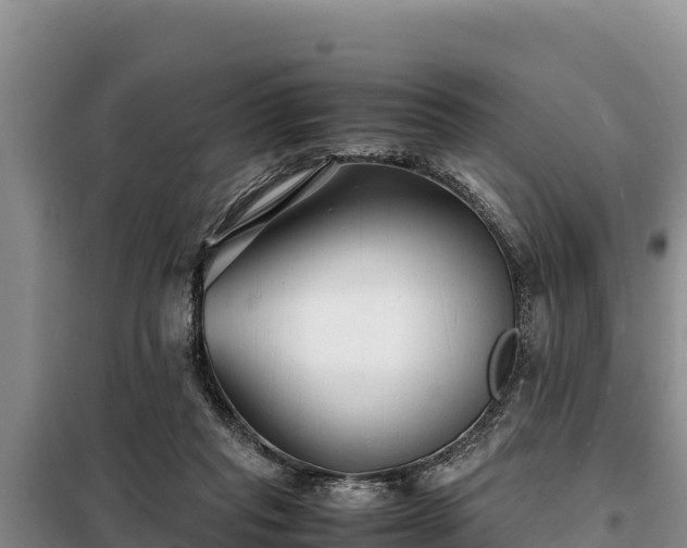 X0000099310261200805091025