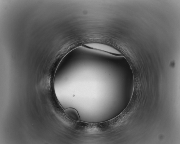 X0000099310262200805091025