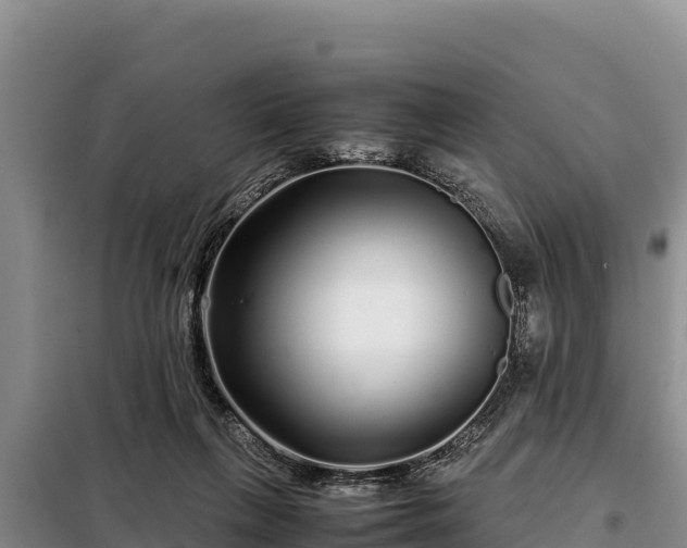 X0000099310263200805091025