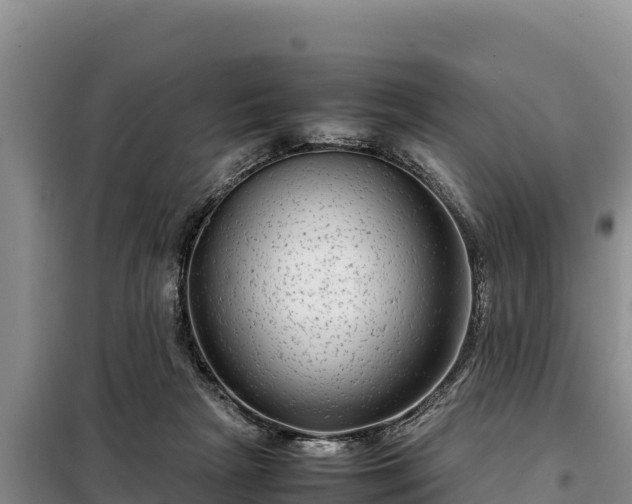 X0000099310265200805091025