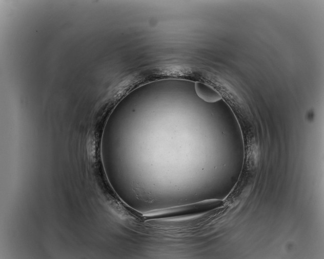 X0000099310268200805091025