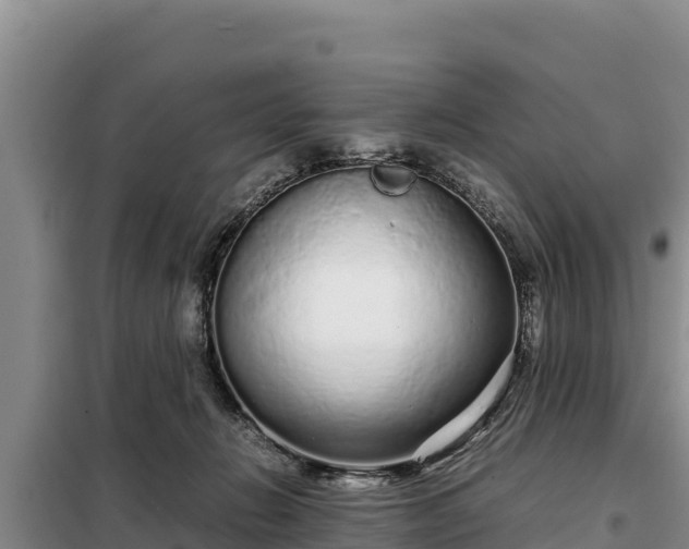 X0000099310270200805091025