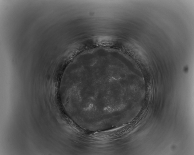 X0000099310271200805091025