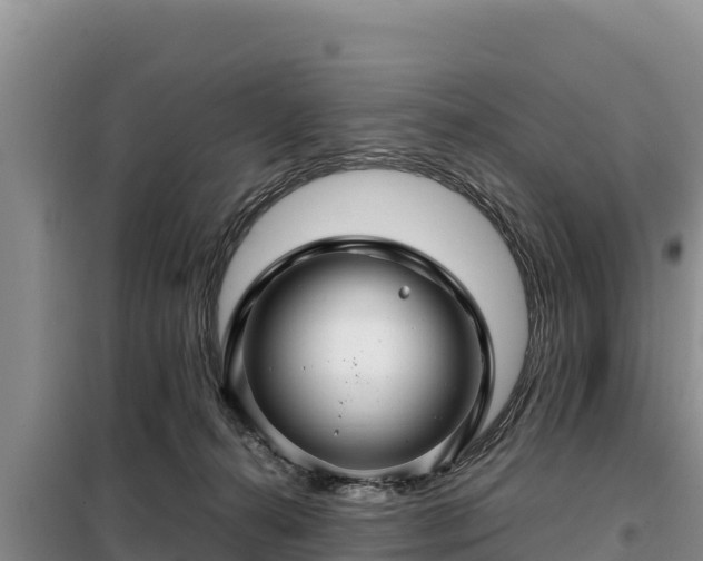 X0000099310272200805091025