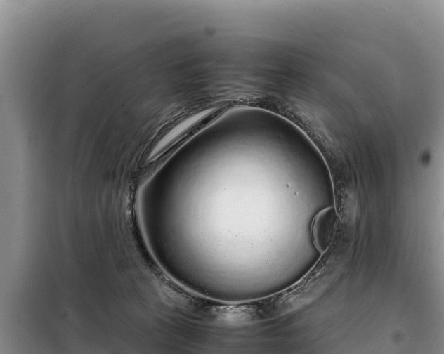 X0000099310273200805091025