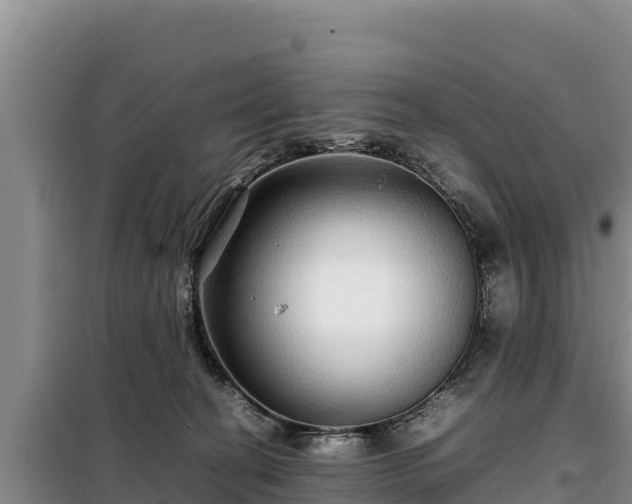 X0000099310274200805091025