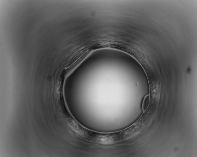 X0000099310275200805091025