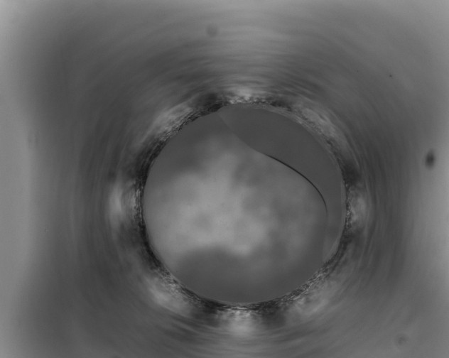 X0000099310276200805091025