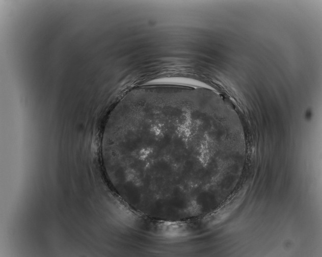 X0000099310277200805091025