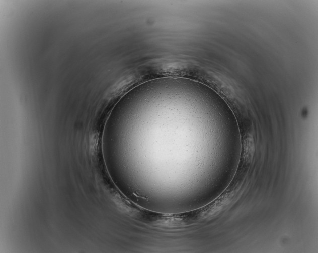 X0000099310278200805091025