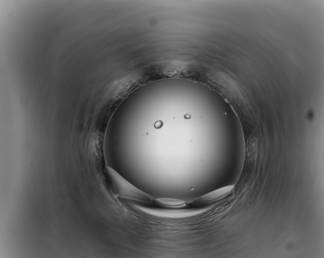 X0000099310280200805091025