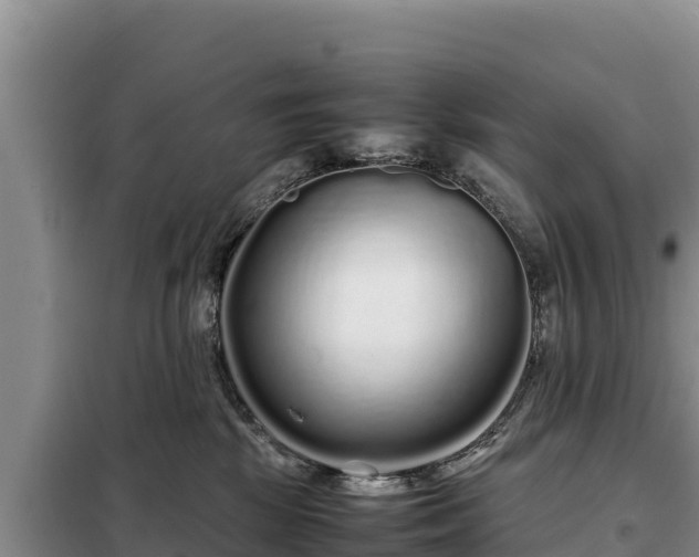 X0000099310281200805091025