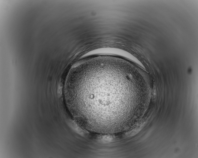 X0000099310282200805091025