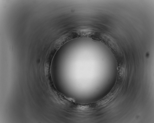 X0000099310283200805091025