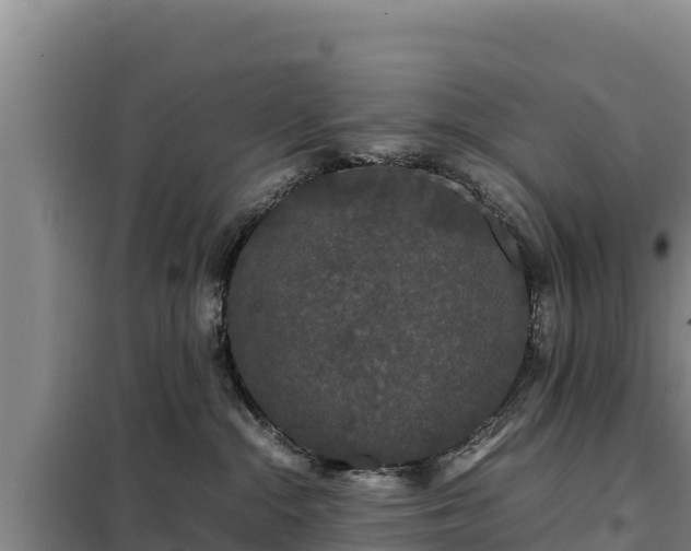 X0000099310284200805091025